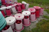 21 RED MANOLA FEEDERS - 8