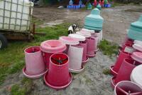 21 RED MANOLA FEEDERS - 13