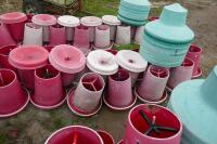 21 RED MANOLA FEEDERS - 3