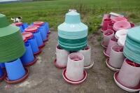 21 RED MANOLA FEEDERS - 2