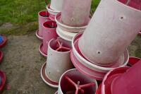 21 RED MANOLA FEEDERS - 8