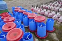 22 BLUE MANOLA FEEDERS - 5