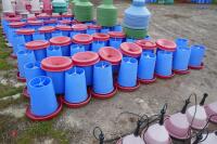 22 BLUE MANOLA FEEDERS - 12