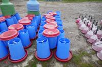 22 BLUE MANOLA FEEDERS - 17