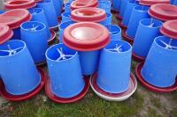 20 BLUE MANOLA FEEDERS - 8