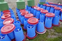 20 BLUE MANOLA FEEDERS - 9