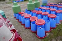 20 BLUE MANOLA FEEDERS - 7