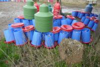20 BLUE MANOLA FEEDERS - 7