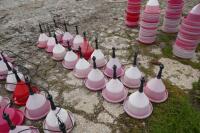 16 WM2E PLASTIC DRINKER - 4