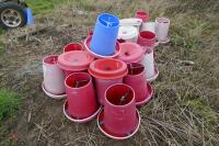 22 MIXED MANOLA FEEDERS (S/R) - 7