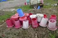 22 MIXED MANOLA FEEDERS (S/R) - 10