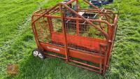 RITCHIE LAMB/PIG WEIGH SCALES - 5