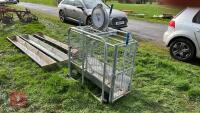 IAE SHEEP WEIGH SCALES - 2