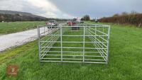 10 ALPACA HURDLES - 8