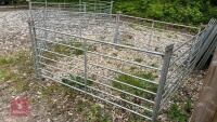 5 X 6' GALVANISED SHEEP HURDLES - 7