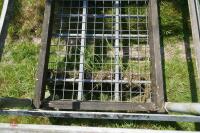 5' X 4' METAL STILLAGE - 10