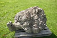 LARGE BUR OAK - 6