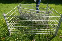 8 GALVANISED 6' SHEEP HURDLES - 2