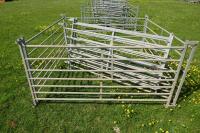 8 GALVANISED 6' SHEEP HURDLES - 4