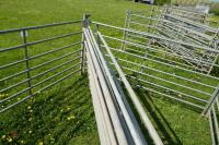 8 GALVANISED 6' SHEEP HURDLES - 7