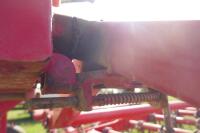 2010 EINBOCK 300 GRASS MANAGER - 12