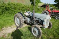 FERGUSON T20 TVO TRACTOR - 4