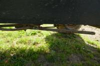 6 TON SINGLE AXLE TRAILER - 15
