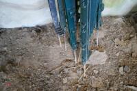 10 PLASTIC ELECTRIC SENCE STAKES - 4