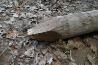 9' 6'' WOODEN GATE POST - 2