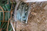 6 PART ROLLS OF ELECTRIC HORSE TPAPE - 8