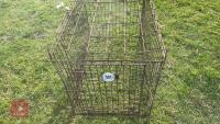 RUSTY DOG CAGE - 2