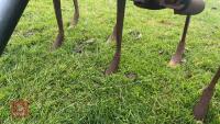 8' RANSOMES 9 LEG SPRING TINE CULTIVATOR - 8
