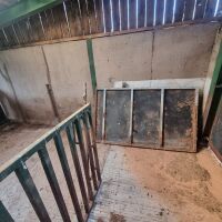 6 LARGE PIG PENS - 2