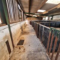6 LARGE PIG PENS - 8