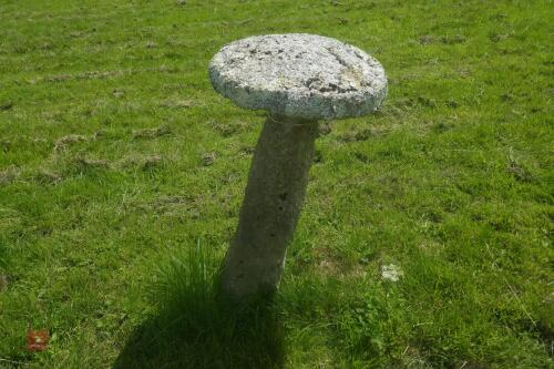 GRANITE STADDLE STONE