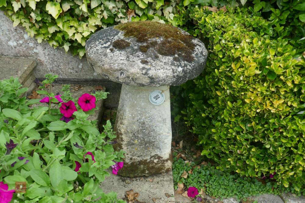 SANDSTONE STADDLE STONE