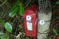 GRANITE POST/PILLAR/ROLLER - 2