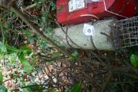 GRANITE POST/PILLAR/ROLLER - 10