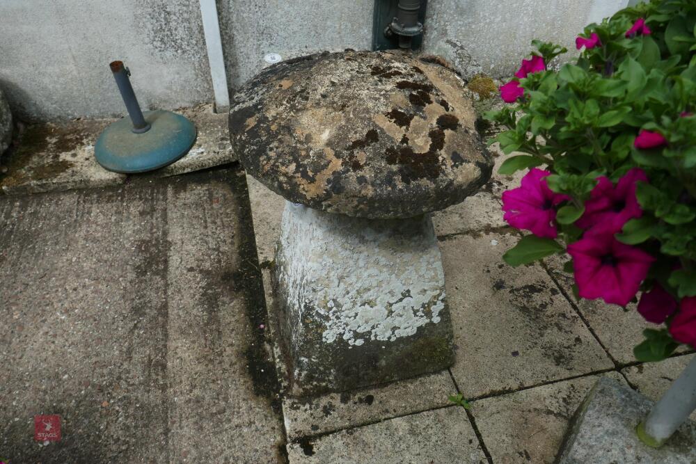 SANDSTONE STADDLE STONE