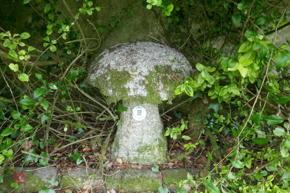 GRANITE STADDLE STONE