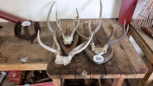3 PAIRS OF ANTLERS