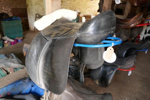 HEATHER MOFFAT, ENLIGHTENED EQUITATION SADDLE