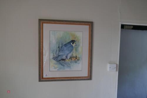 I.COOPER FALCON PICTURE