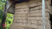 20 QUADRANT 5300 BALES OF WHEAT STRAW