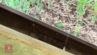 GALVANISED CALF CREEP FEEDER - 9