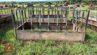 10' X 5' CATTLE FEEDER - 3