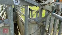 MOBILE CATTLE HANDLING SYSTEM - 17