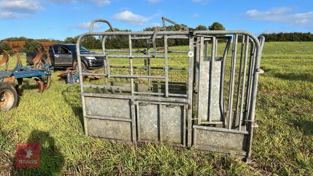 GAVLANISED CATTLE CRUSH