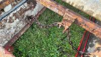 GALVANISED YARD SCRAPER - 10