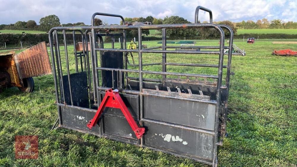 PAINTED METAL CATTLE CRUSH